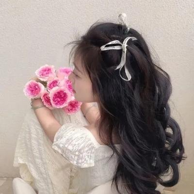 皇家铁马粤语